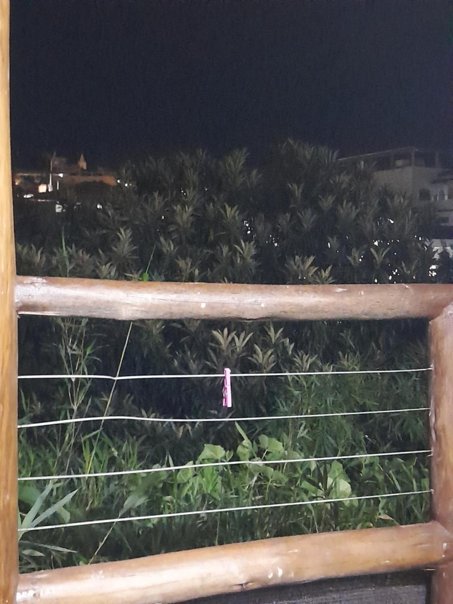 Chale Bambu3 Apartment กุนญา ภายนอก รูปภาพ